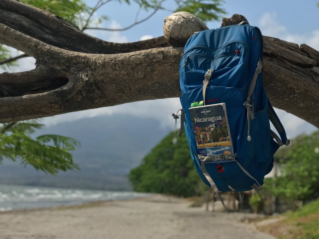 Backpack and book hanging from a tree