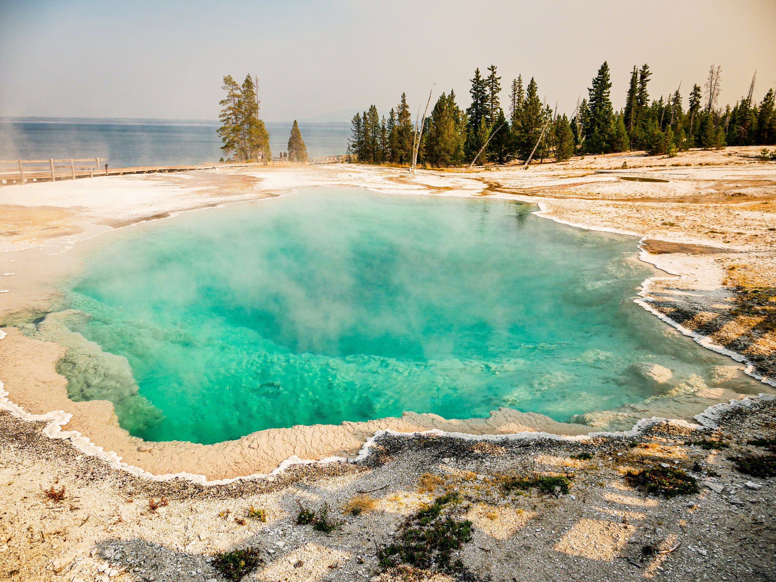 The Top 5 Things to do in Yellowstone National Park